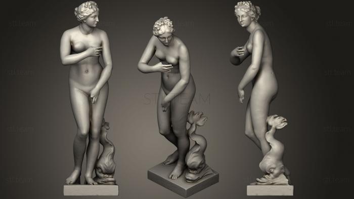 Venus type Medici